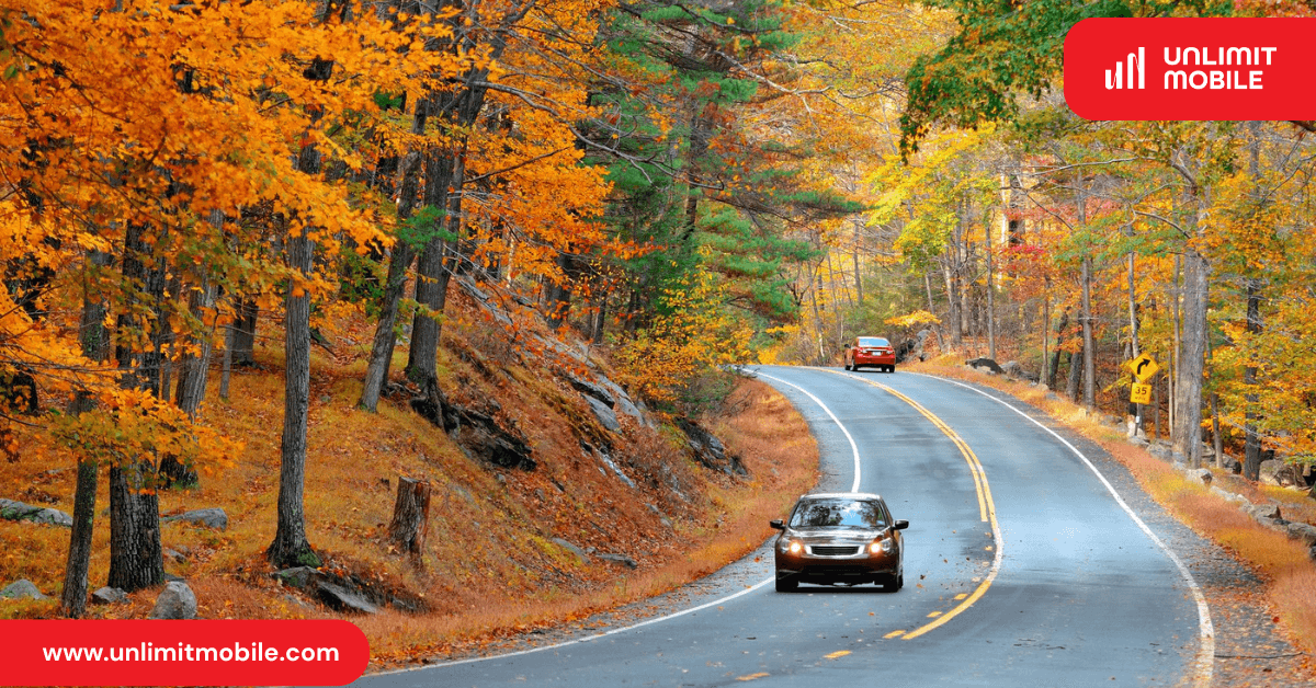 Driving in Canada – Licenses, Rules, Foreign License Guide & Expert Tips - UnlimitMobile