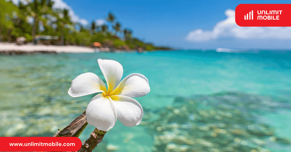 10 Best Places to Travel from Canada in November - UnlimitMobile